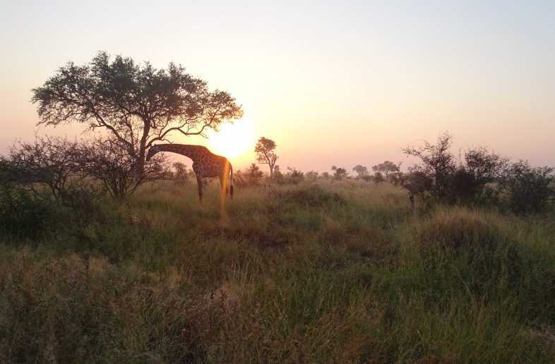 Panoramaroute Zuid-Afrika & Wildlife Kampeerreis